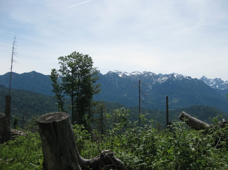 Simetsberg mit Abstieg auf alternativen Wegen