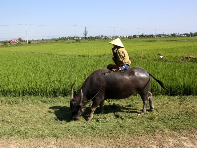 Hoi An - Marmorberge