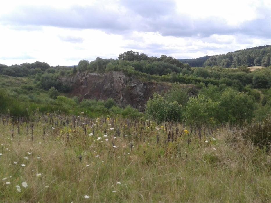 Von Schüller zum Vulkangarten Steffeln