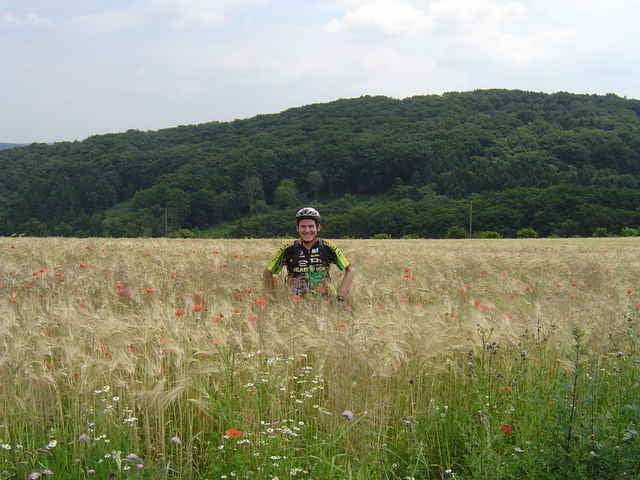 NIERENHOFER RUNDE
