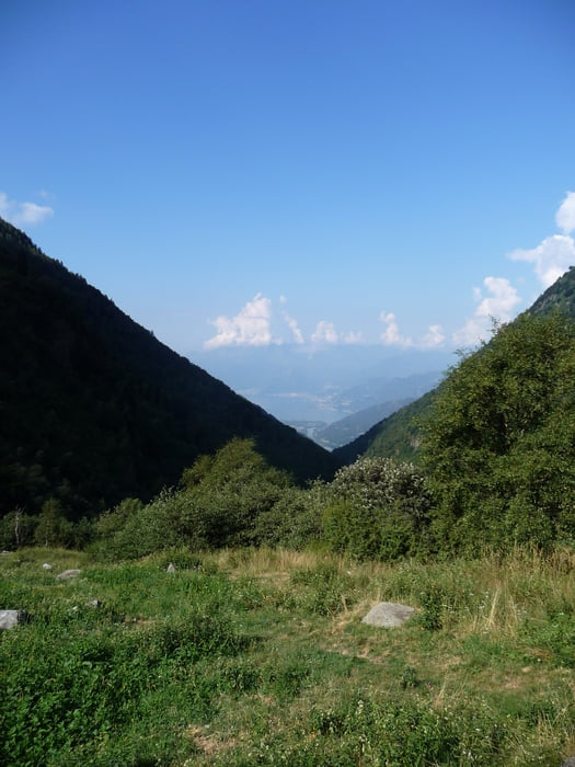     Tracciolino   ( Down by the River )