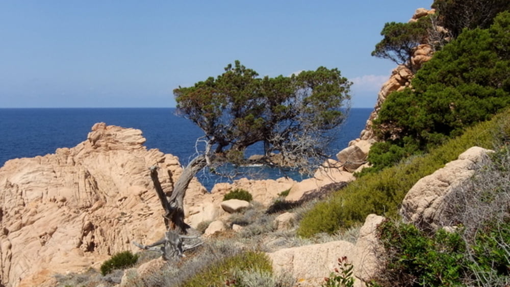 Küstenwanderung zum Tinnari Strand