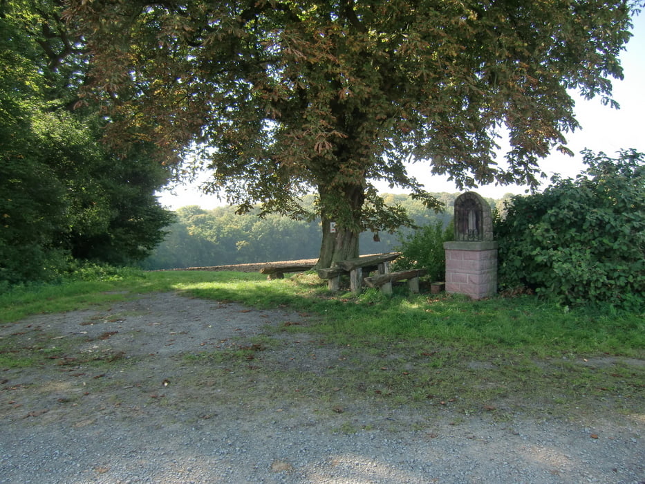 Mountainbikerunde um Hettstadt