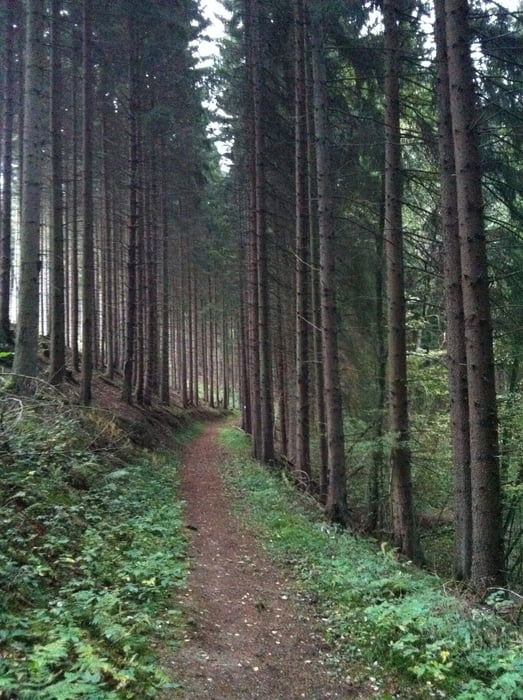 keine Langeweile 1