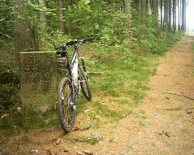 Nord-Lippische Trails