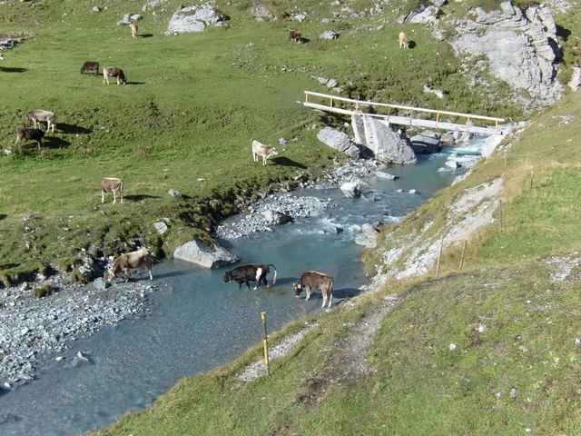 Höhenwanderung Naraus-Falera