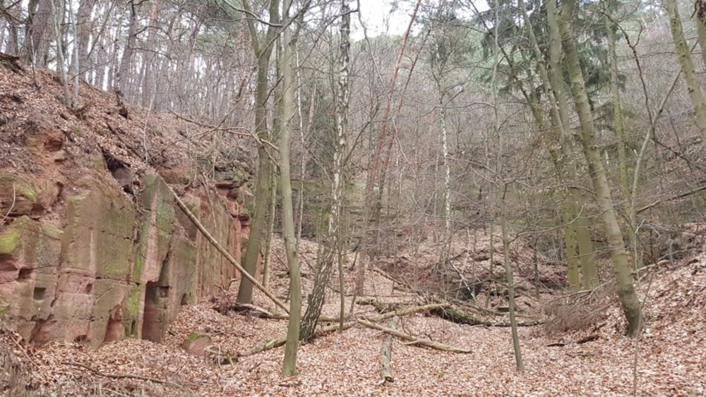 zu den Sandsteinbrüchen am Burzelberg