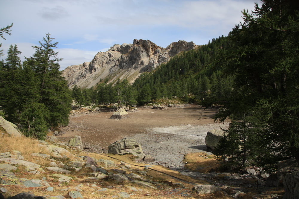 Felszeichnungen im Val des Merveilles