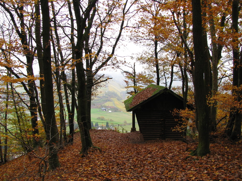 Von Konz nach Saarburg