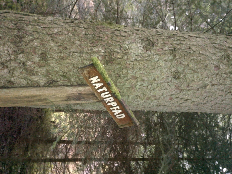 Trossingen Trails