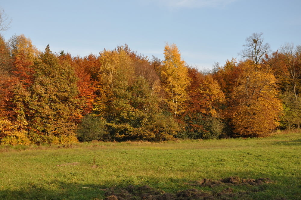 AMG-Parkplatz-Forsbacher Mühle