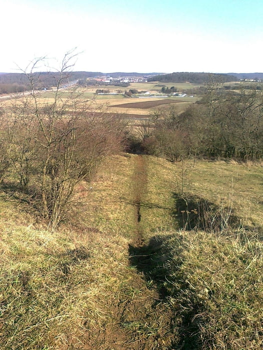 Wiesecktal-Trails
