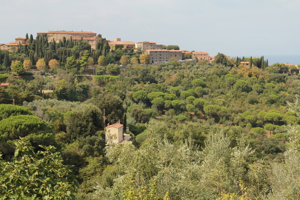 Toskana - Castagneto Carducci 2