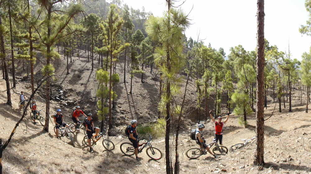 Gran Canaria II