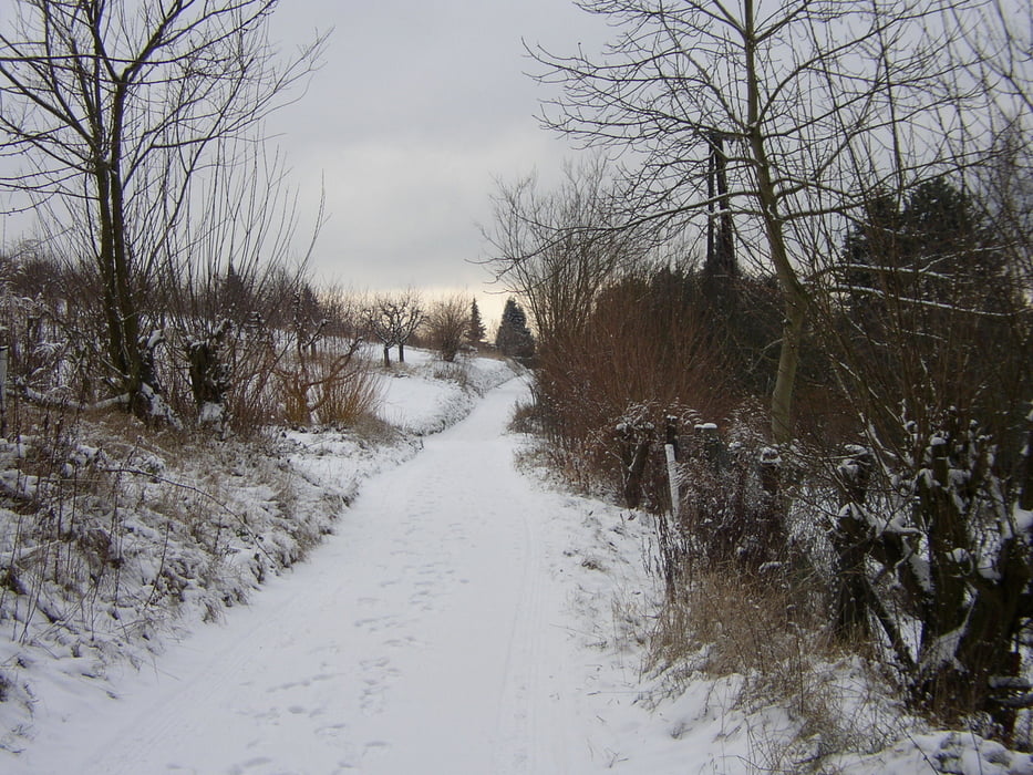 Von Fellbach nach Untertürkheim