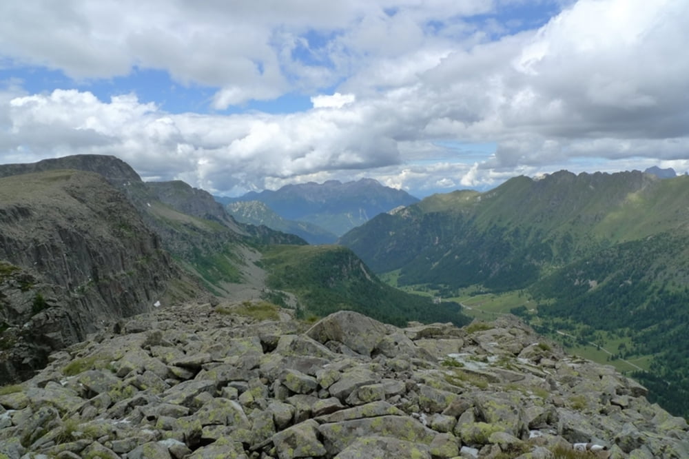 Passo di Vales-Col. Margherita-Rif. Laresei-Passo di Vales