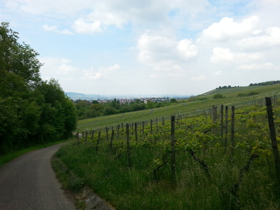 Kleine Runde um die Korber Kelter