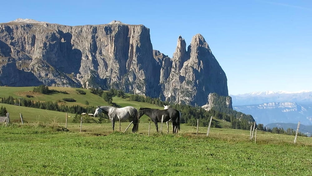 Wandern Südtirol: Seiseralm- Laurinhütte