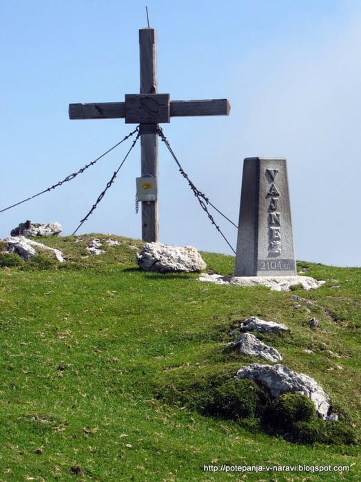 Vajnež