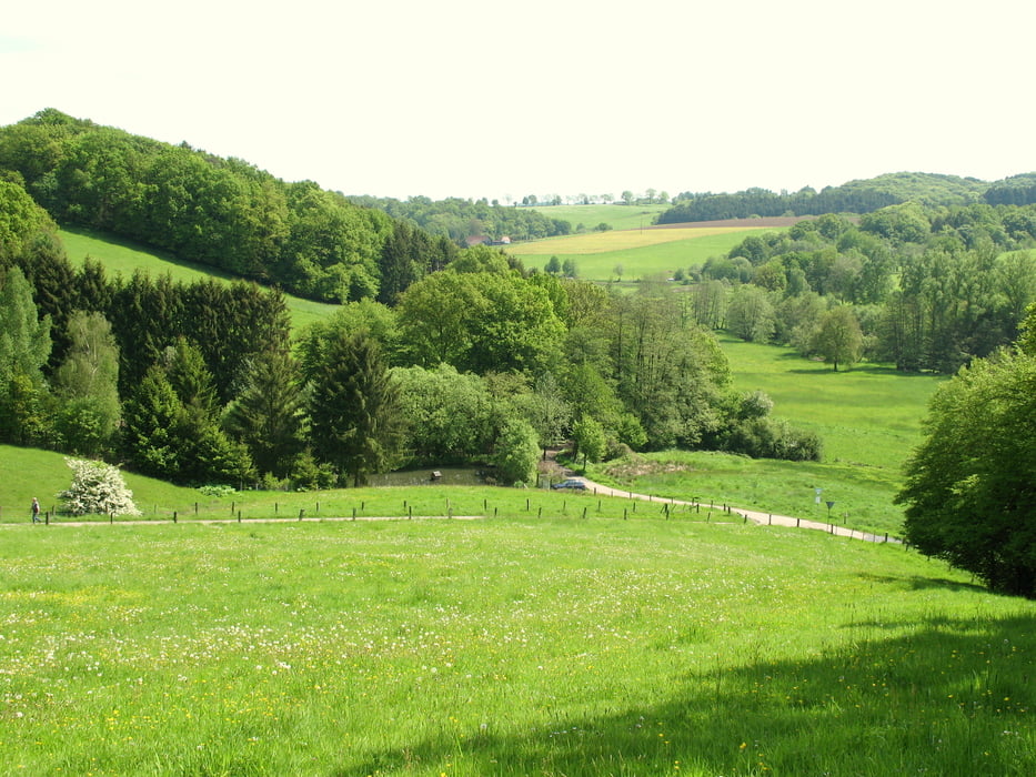 Naafbachtal: Overath - Donrath