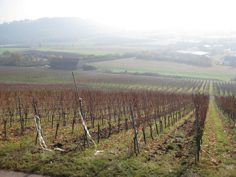 Naturpark Stromberg-Heuchelberg
