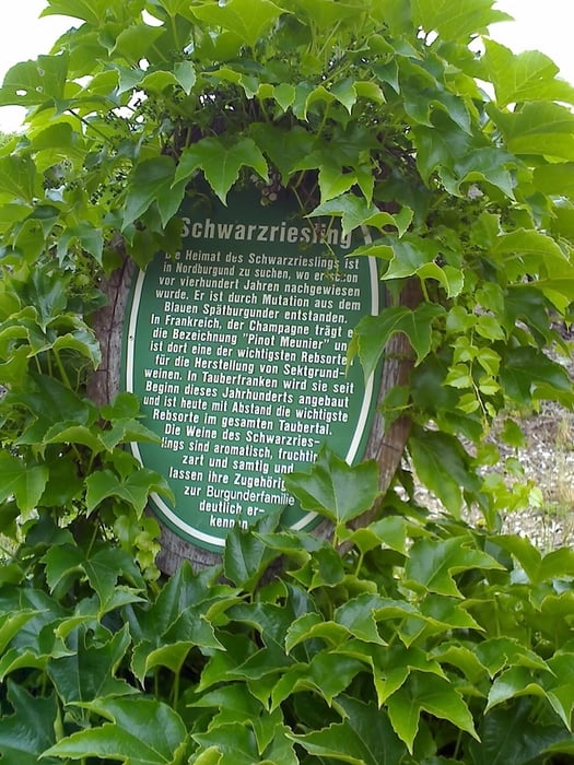 Auf dem Naturlehrpfad