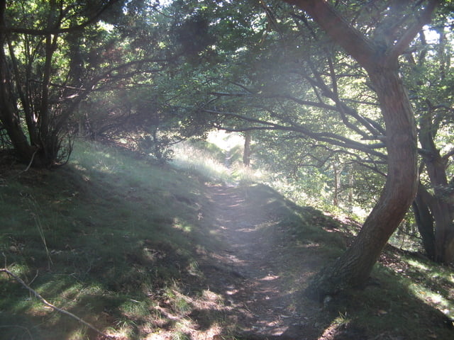 Mit dem MTB in Dänemark