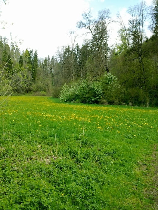Schwenningen-Neckartal-Deisslingen-Trossingen