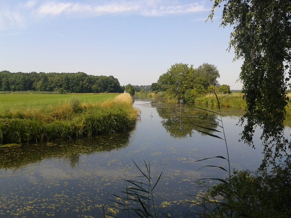 	47. Von Netzen aus um den "Rietzer See" und am Netzener See vorbei