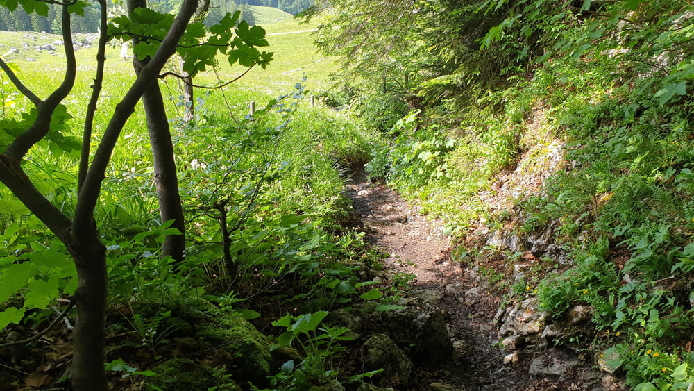 Moser Bike Guide 1 - Tegernsee, Schliersee, Walchensee - Tour 15 - Von Neuhaus um die Brecherspitze