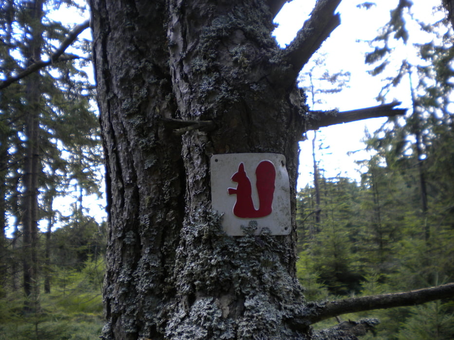 Rundwanderung