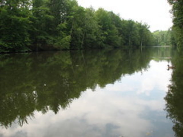 Sindelfinger Wald-Katzenbacher Hof-Glemseck