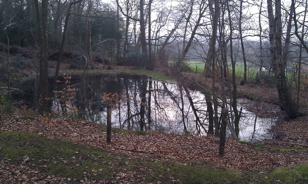 Aachener Wald für Familie mit Kindern