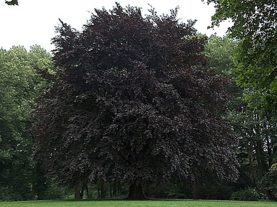 Herne: Stadtgarten - Schloss Bladenhorst