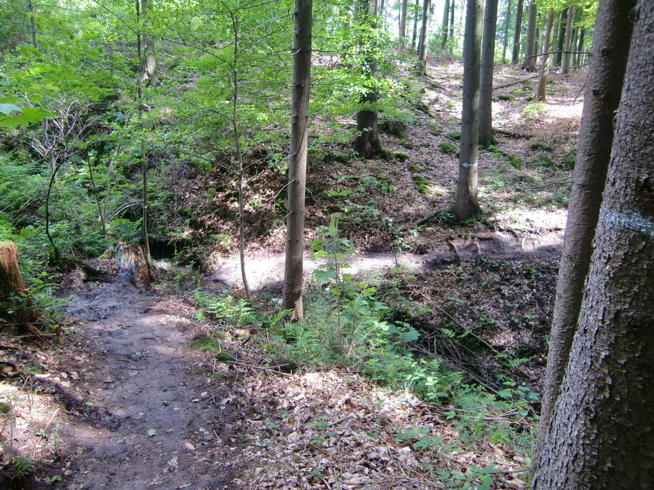 Willis Trailsammlung (Rund um Winnenden)