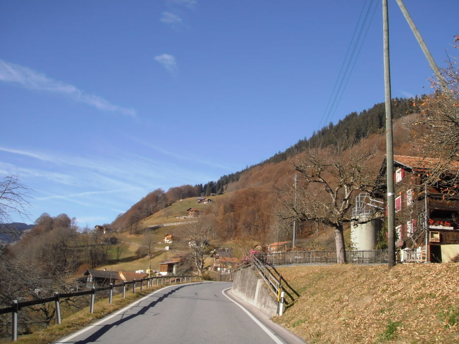 Muzzis-Trailrunde