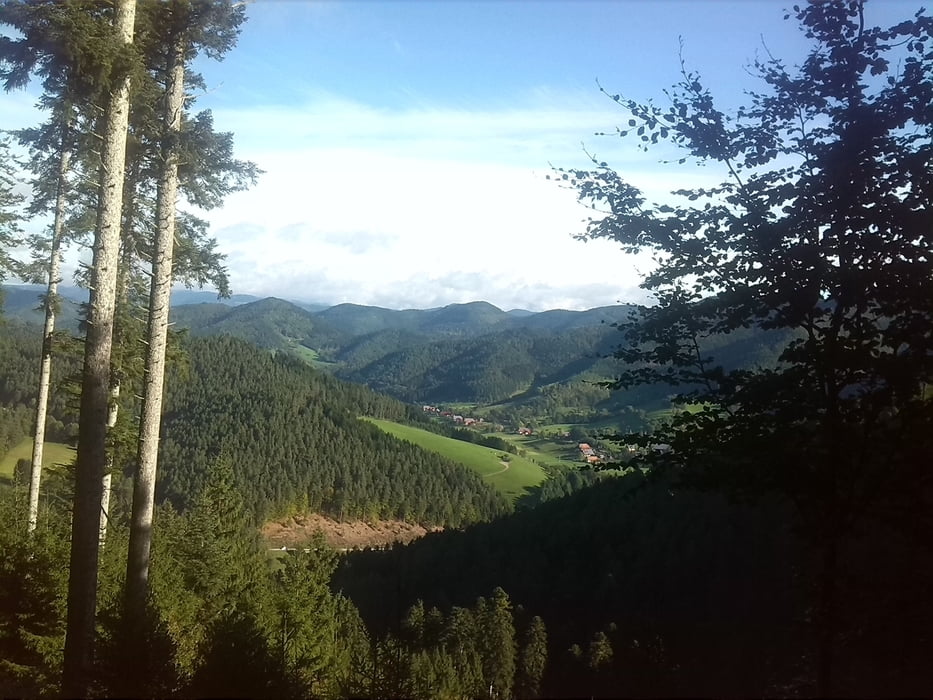 Gutach - Hornberg Runde mit schönen Aussichten und Einkehrmöglichkeiten