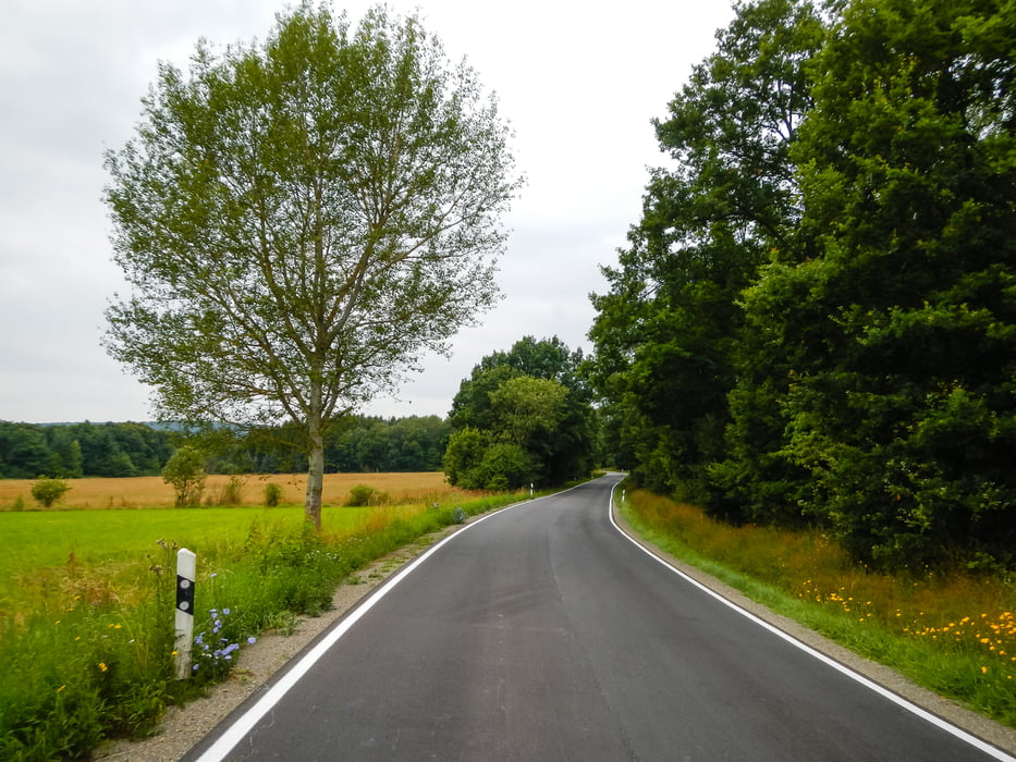 L 230 zwischen Kreershäuschen und Münchwald
