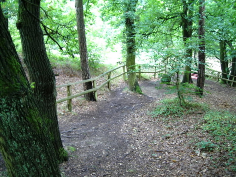 Eisenbacher Trail und Singletrail-Runde