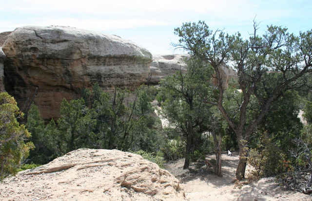 Gooseberry Mesa
