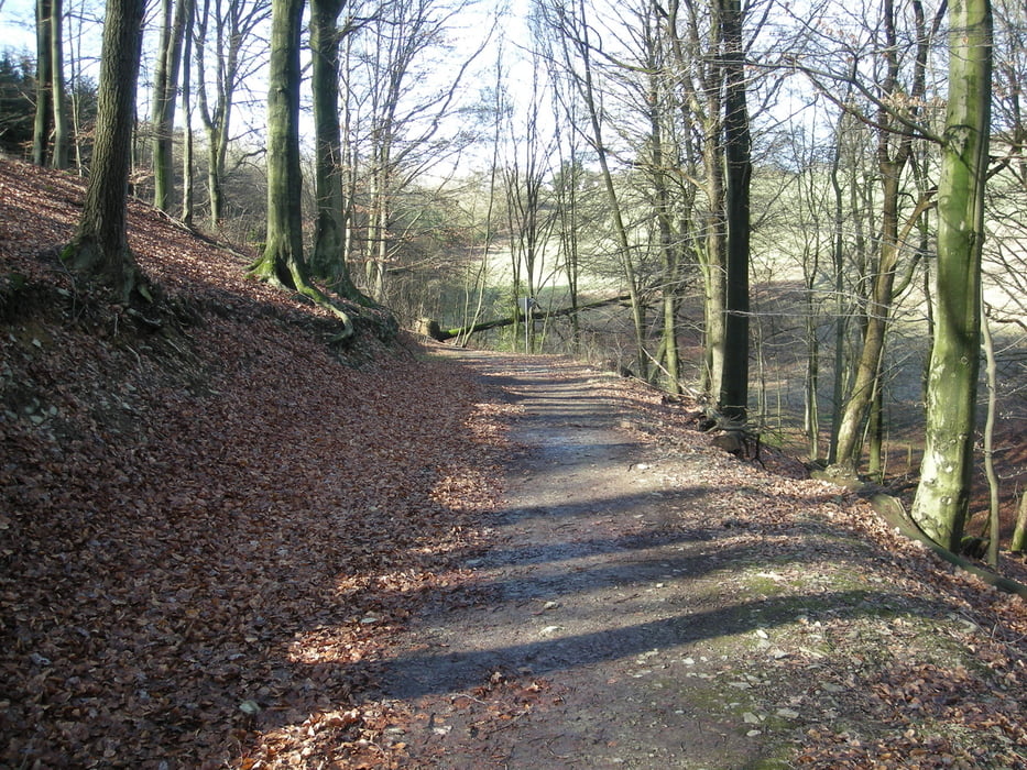 Glüder schnelle Runde