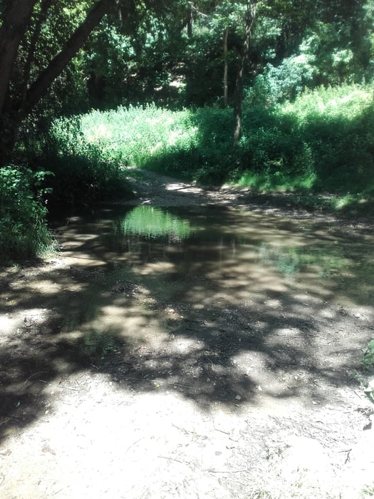Hesselbeg und Retour 74 km