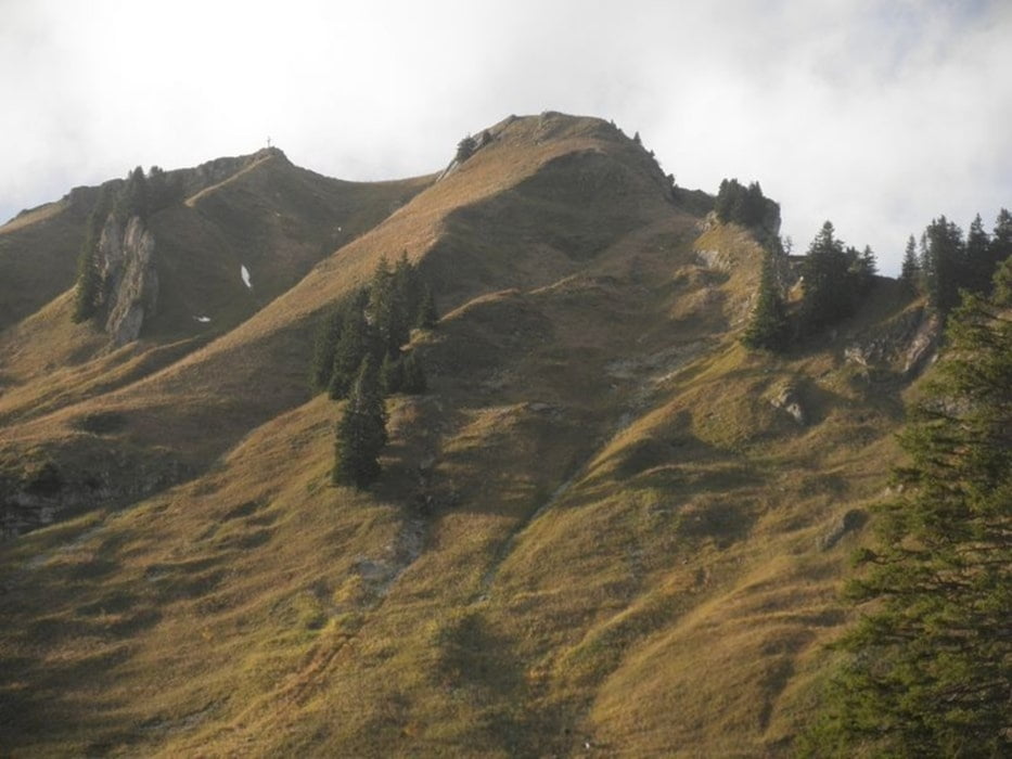 Bischhofsfellnalm/Ruhpolding