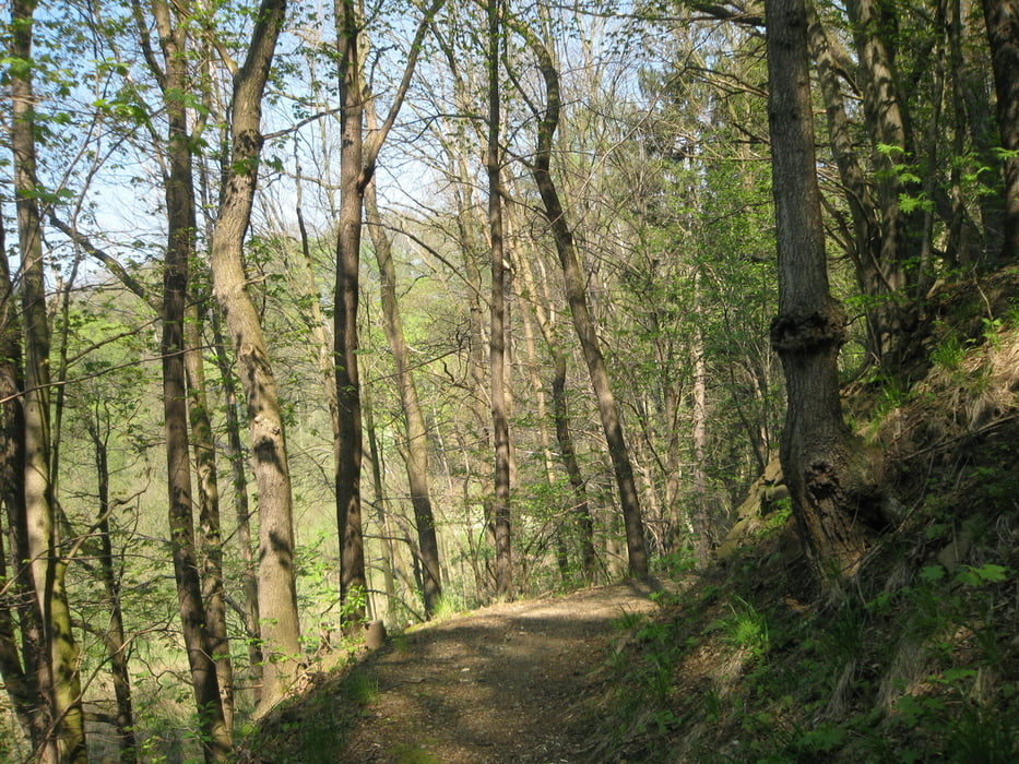 Ins Tal der Großen Striegis