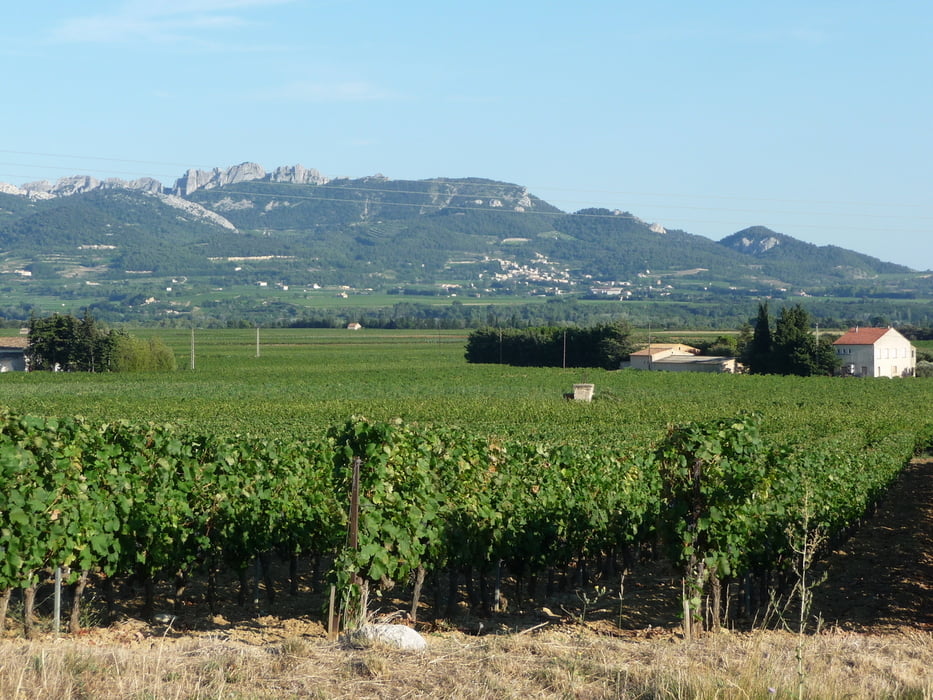 Rasteau