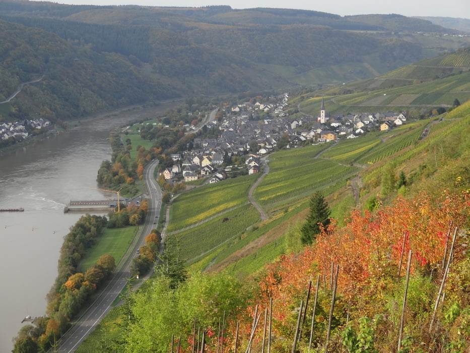 Wanderweg Enkirch E 6 (Rückweg durch die Weinlage "Herrenberg")