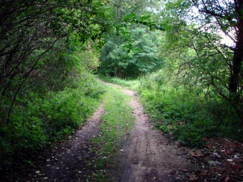 110) Frankfurt - Kunowice - Ranch - Slubice - FF
