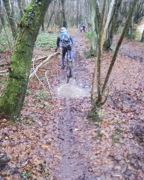 Trail im belg. Wald (Matsch)