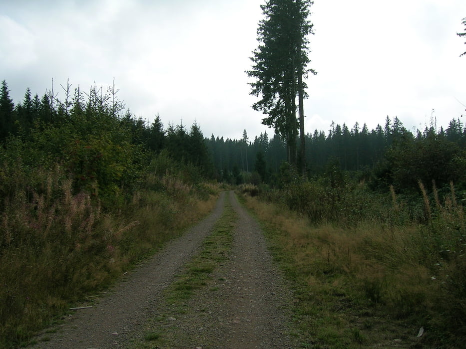 Altglashütten - Lenzkirch - Saig - Altglashütten