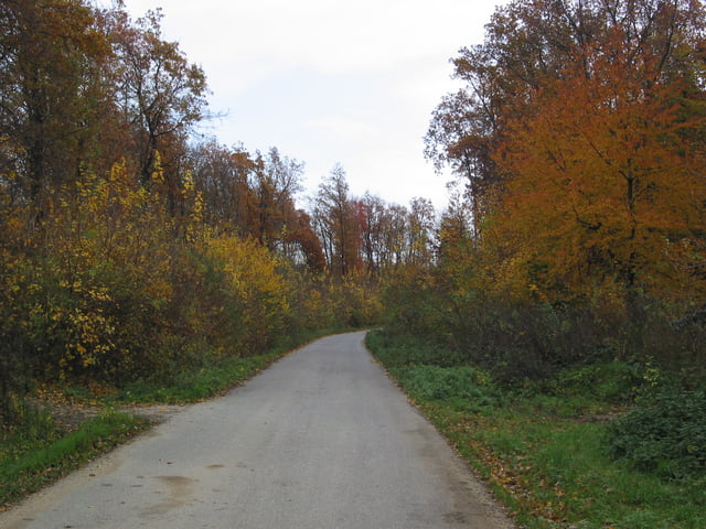 Rotweinradweg im Herbst